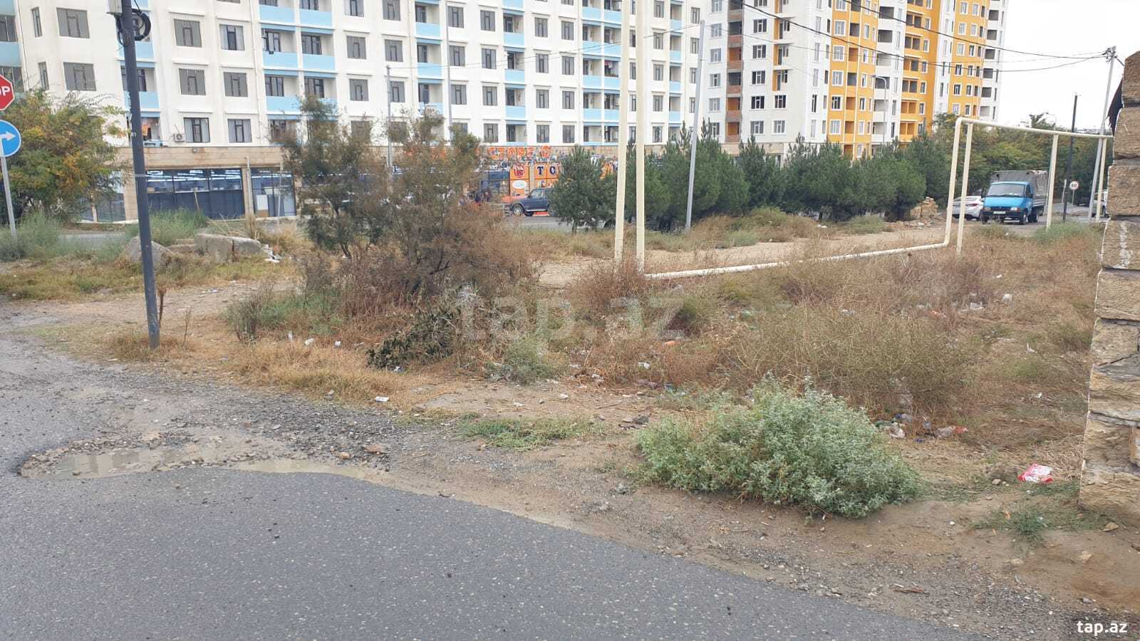 35 sot torpaq sahəsi, Saray qəs.