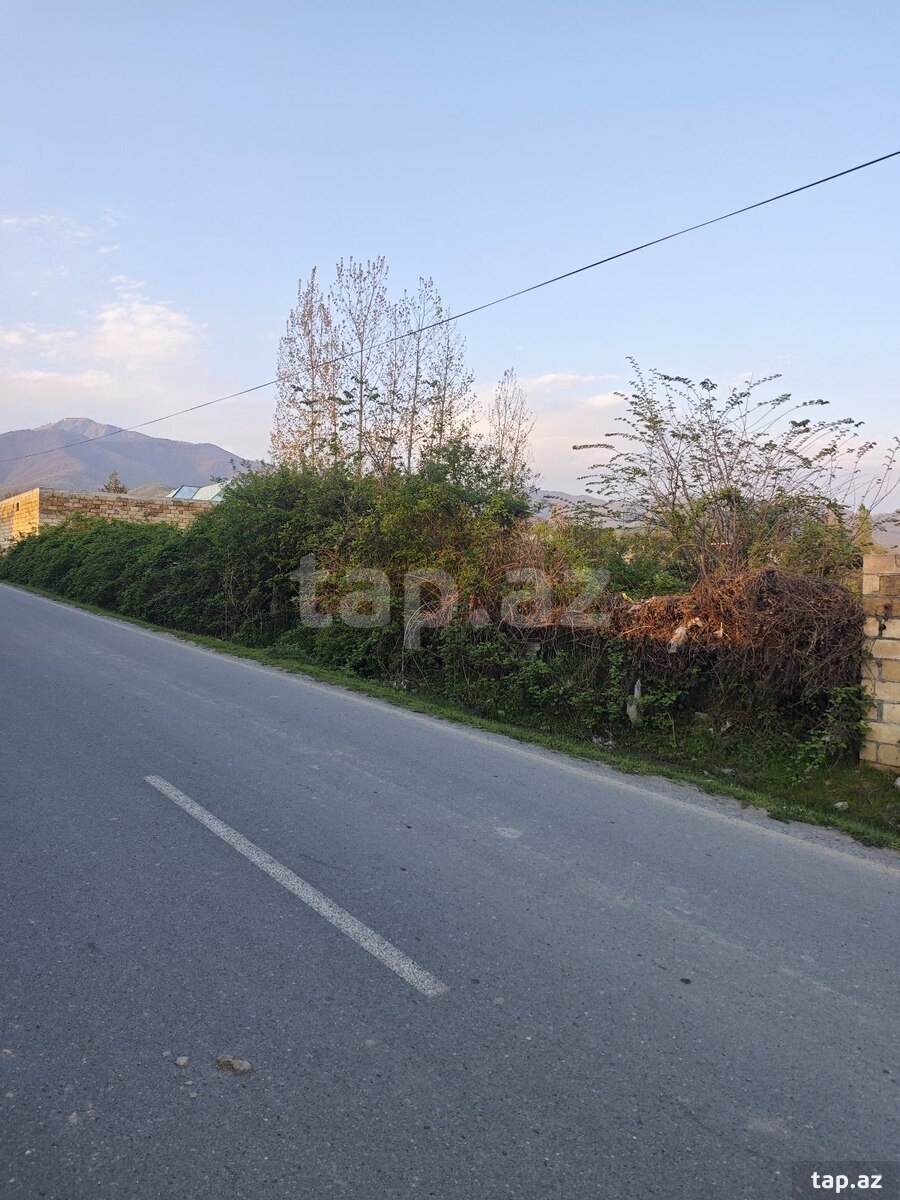10.5 sot torpaq sahəsi, Qəbələ r. (4)