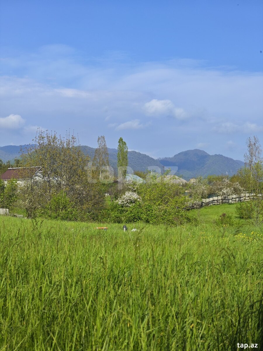 10.5 sot torpaq sahəsi, Qəbələ r. (10)