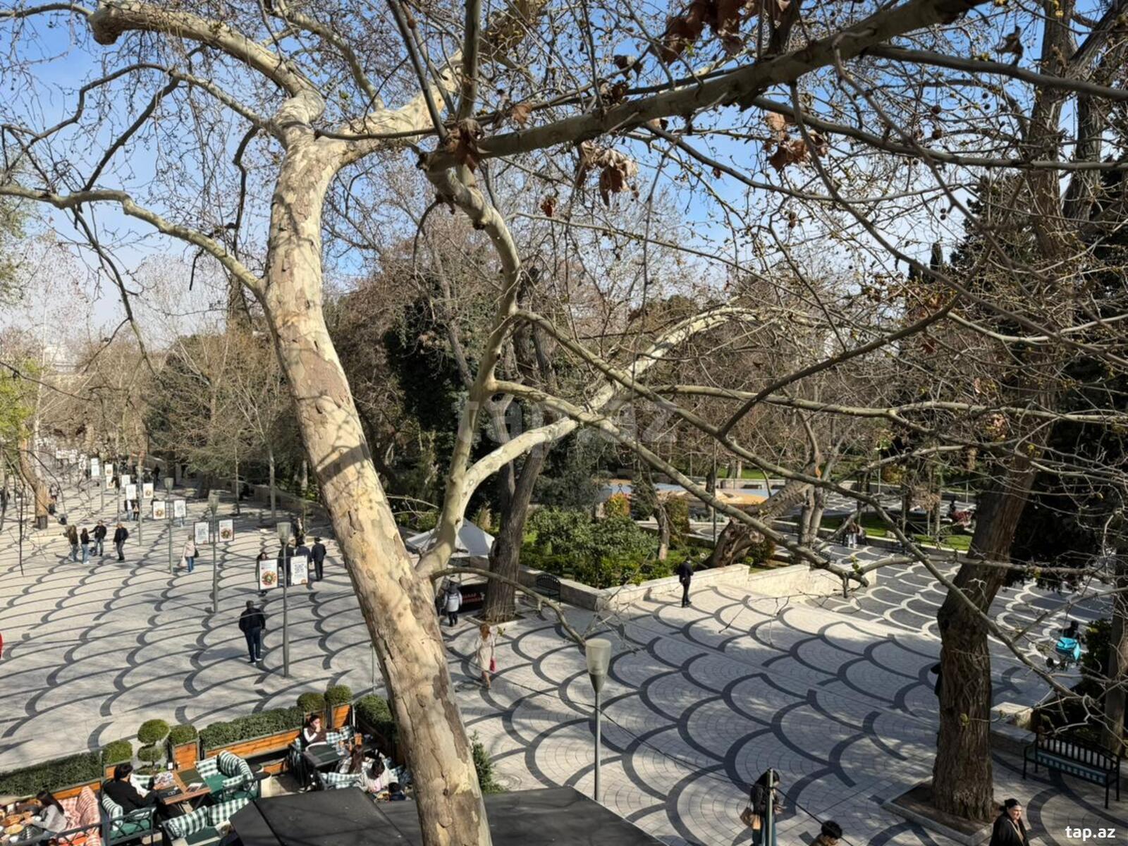 4-otaqlı mənzil kirayə verilir, Sahil m., 160 m² (16)