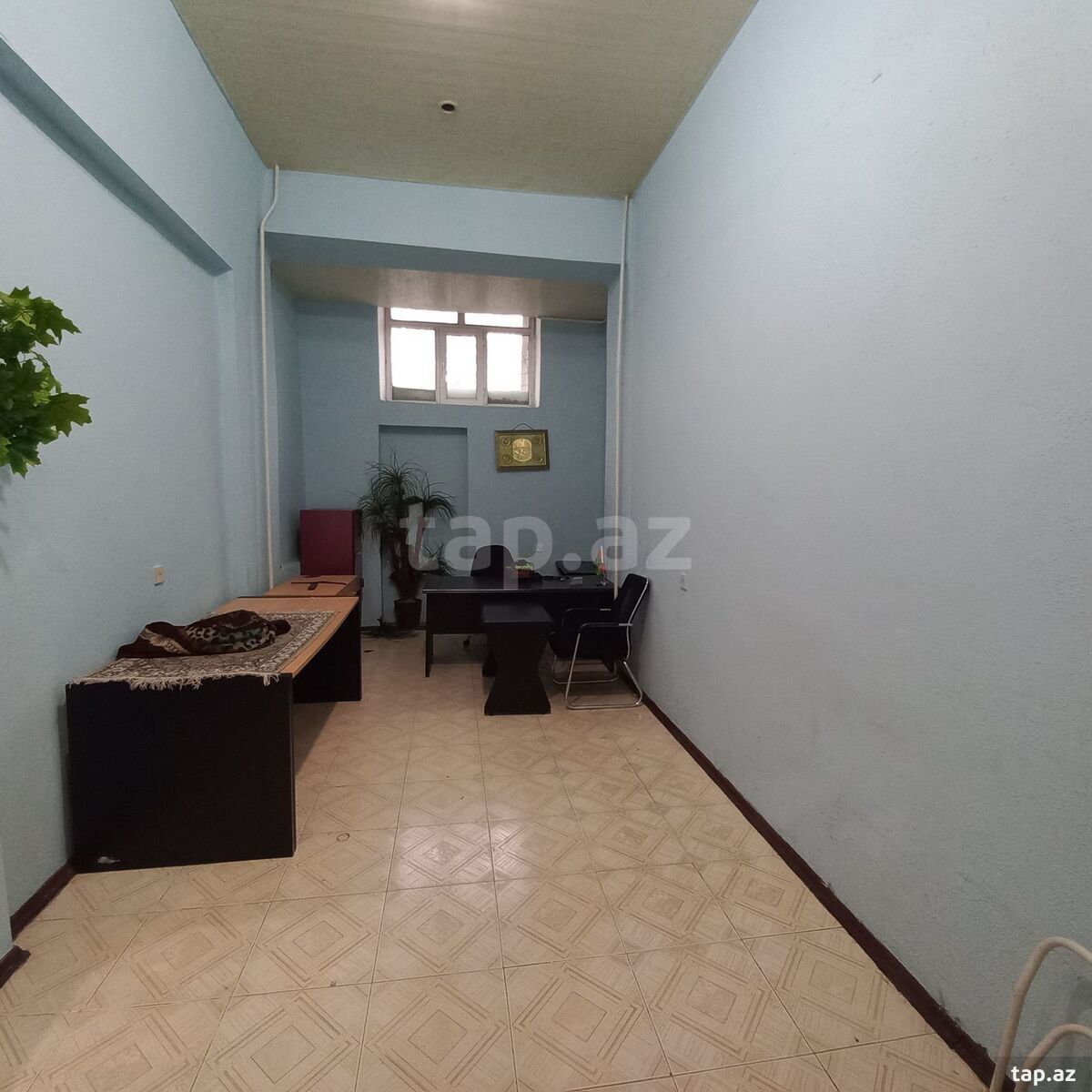 Obyekt icarəyə verilir, Babek pr. (7)