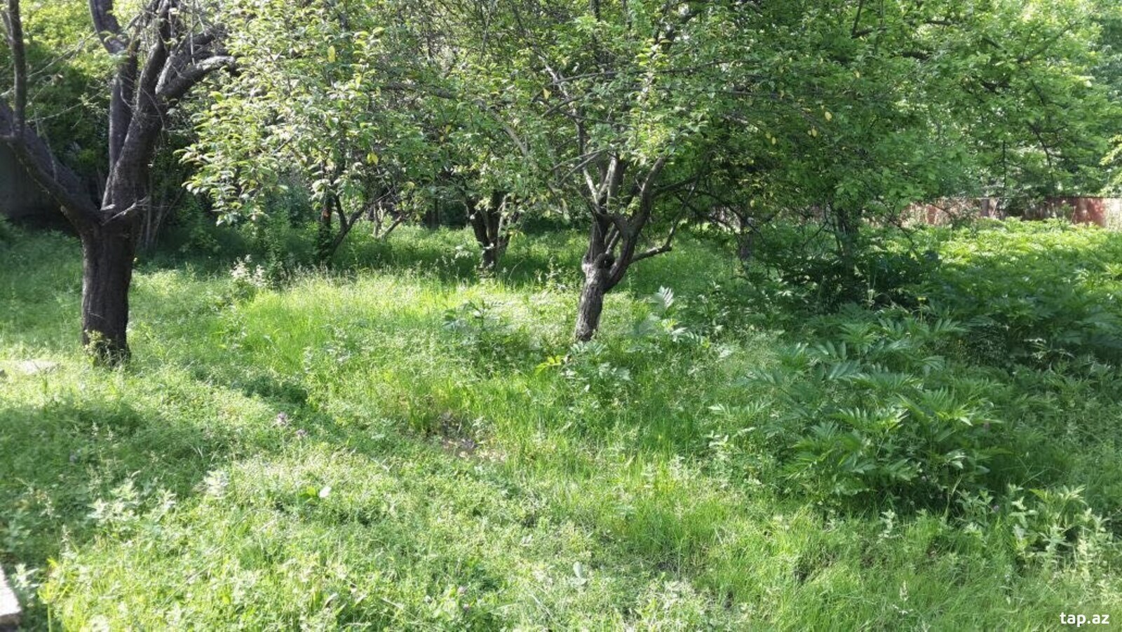 Həyət evi, İsmayıllı r. (3)