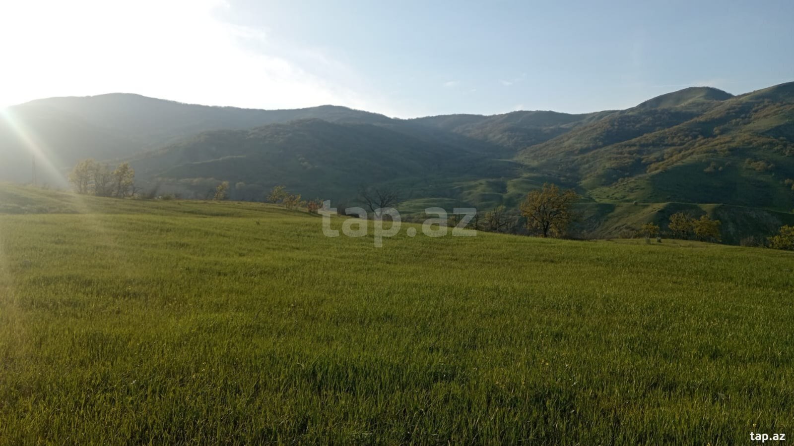 215 sot torpaq sahəsi, Xızı r.