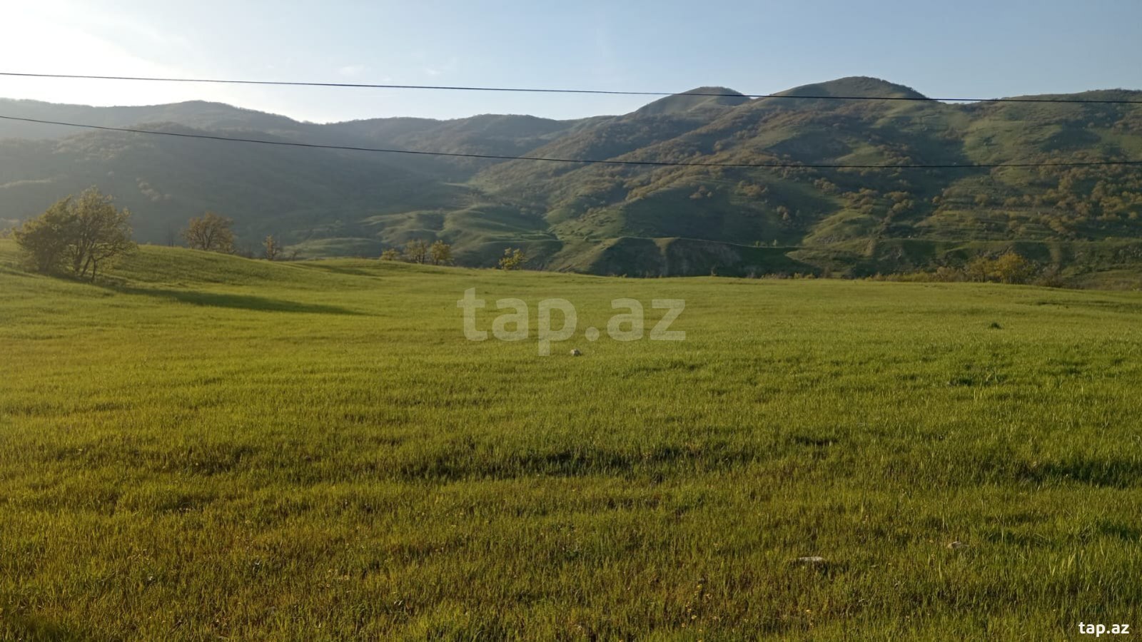 215 sot torpaq sahəsi, Xızı r.