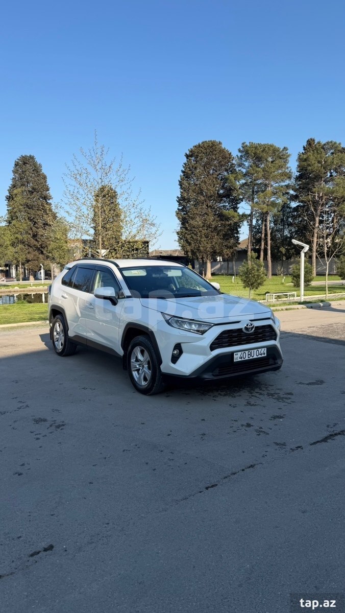 Toyota RAV 4, 2019 il