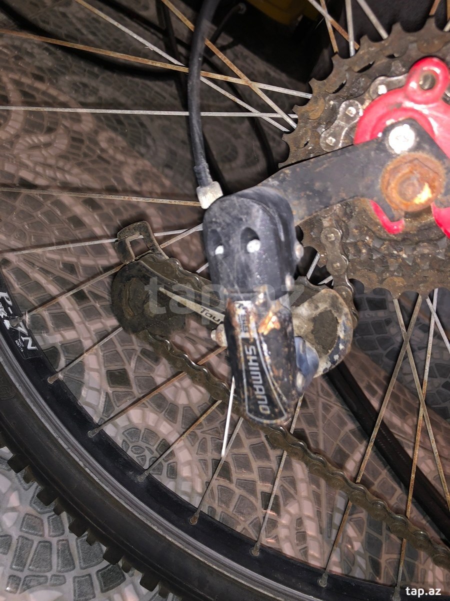 Velosiped Focus (2)
