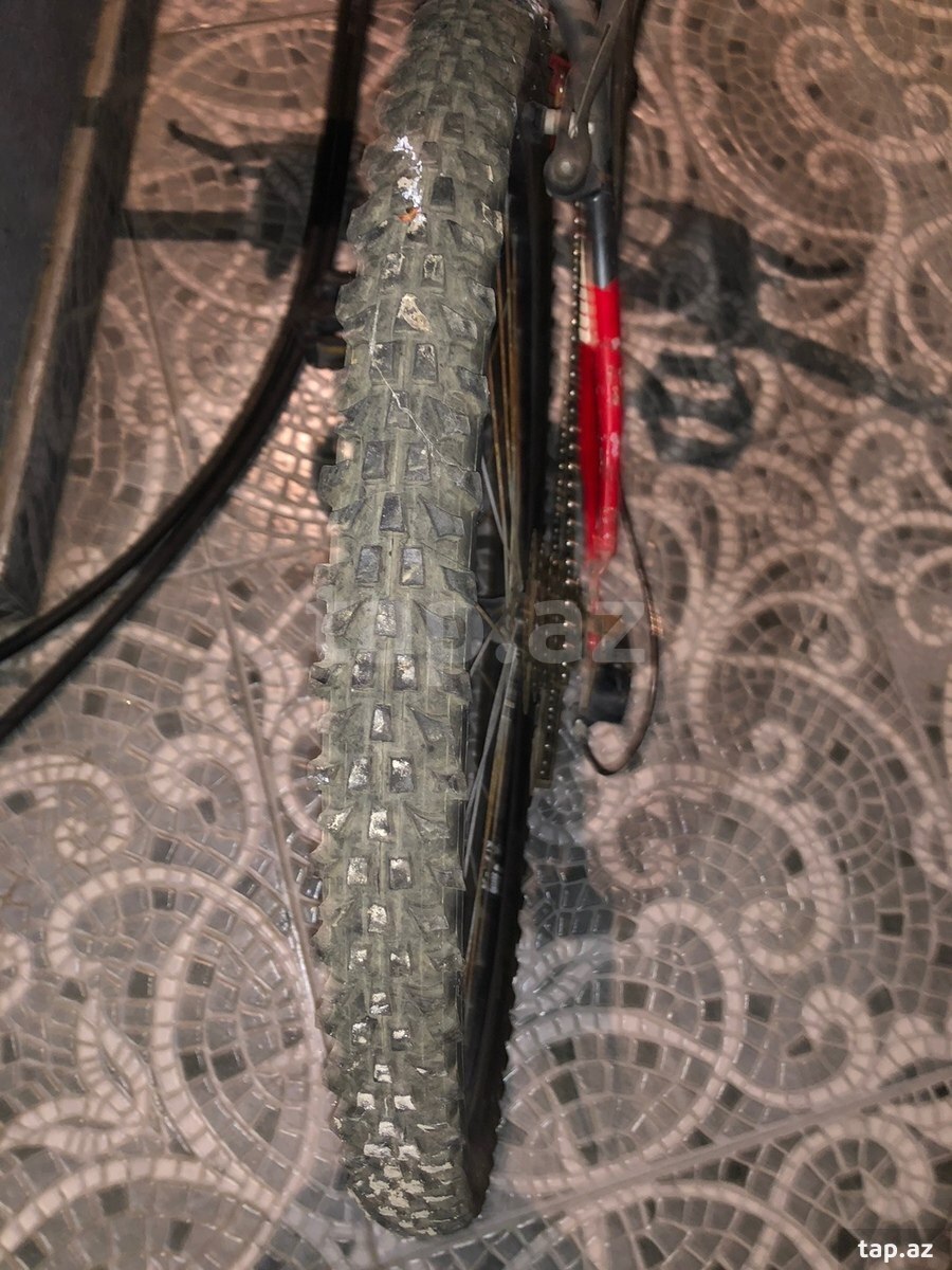 Velosiped Focus (3)