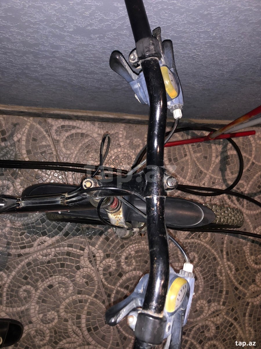 Velosiped Focus (5)