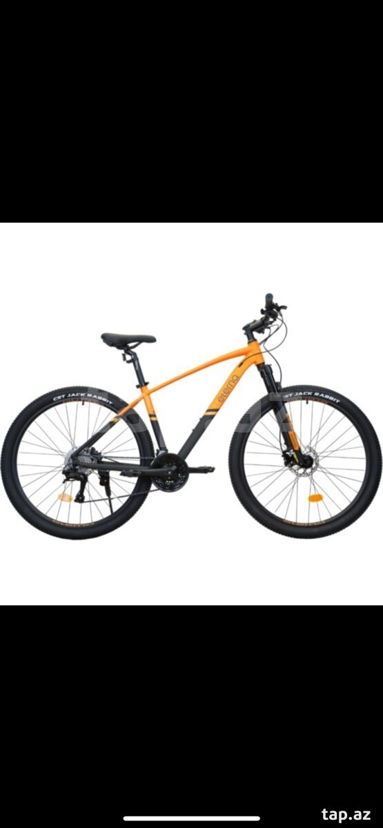 Velosiped Eterna-29 (2)