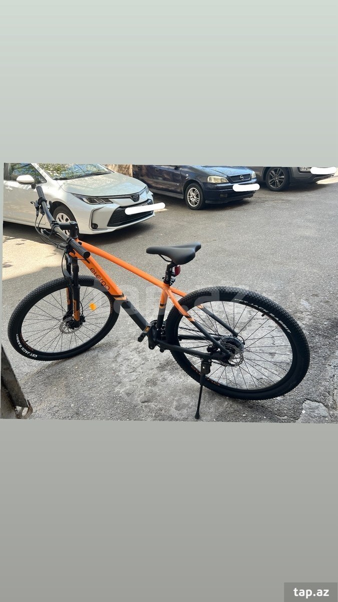 Velosiped Eterna-29