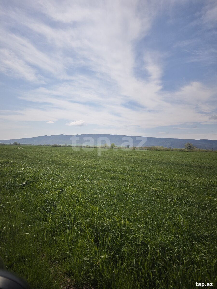Land for sale, Ismayilli