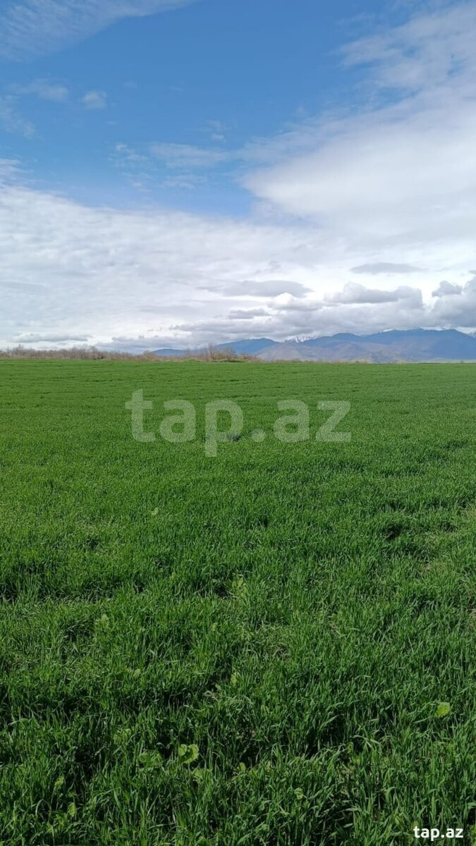 Land for sale, Ismayilli