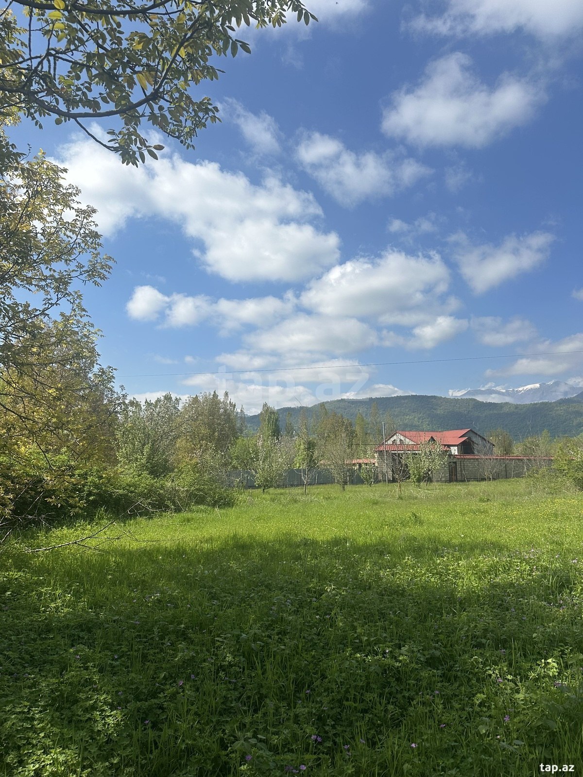 Torpaq satılır, Nohurqışlaq, Qəbələ