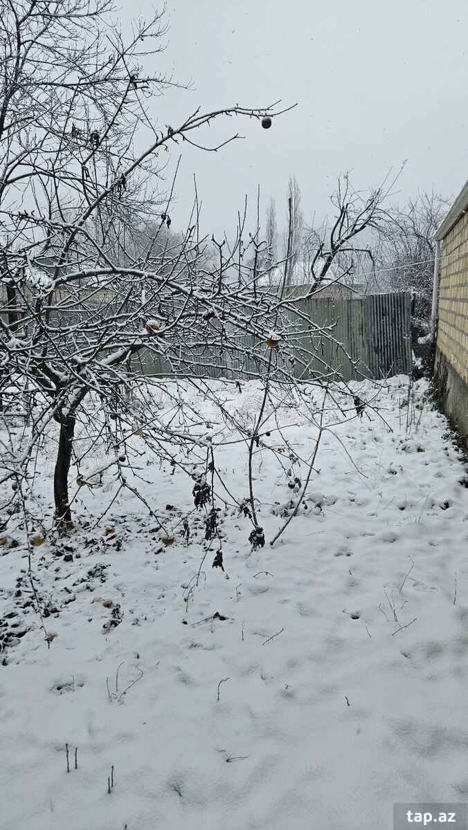 Дом, Гусарский р. (19)
