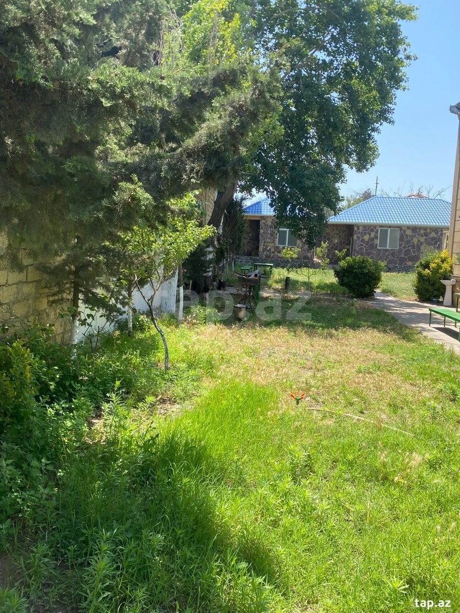 Bağ evi kirayə verilir, Novxanı qəs. (27)