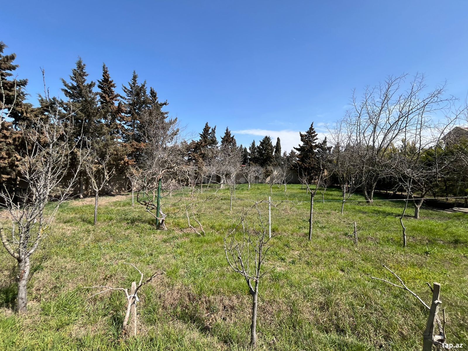 Land for sale, Baku