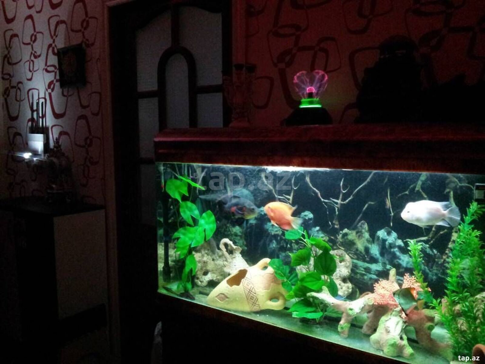 Akvarium