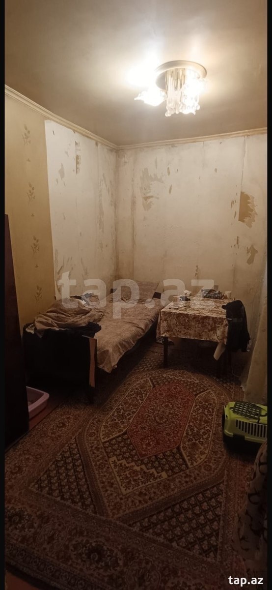 Həyət evi, 8 Noyabr m.