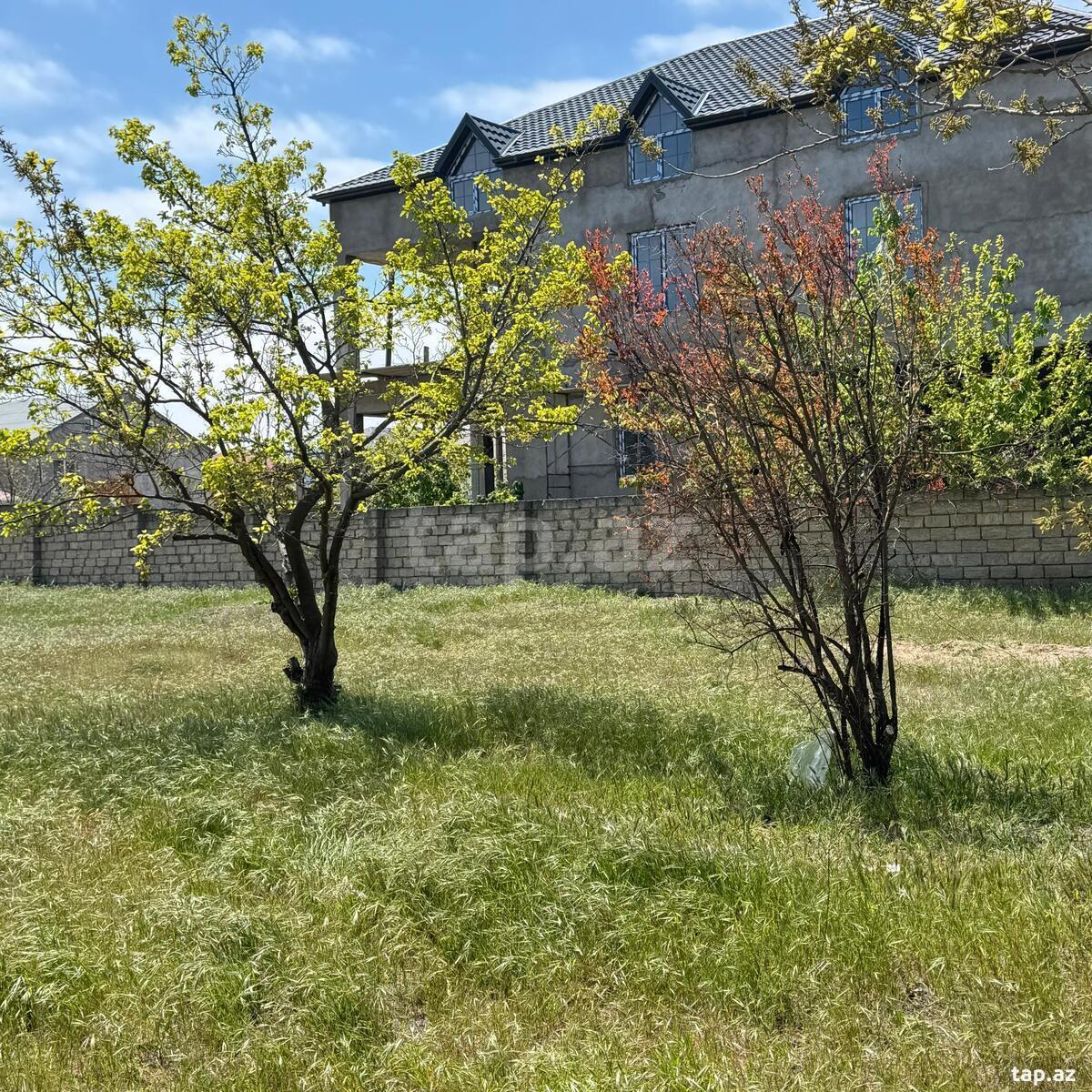 3 sot torpaq sahəsi, Novxanı qəs.