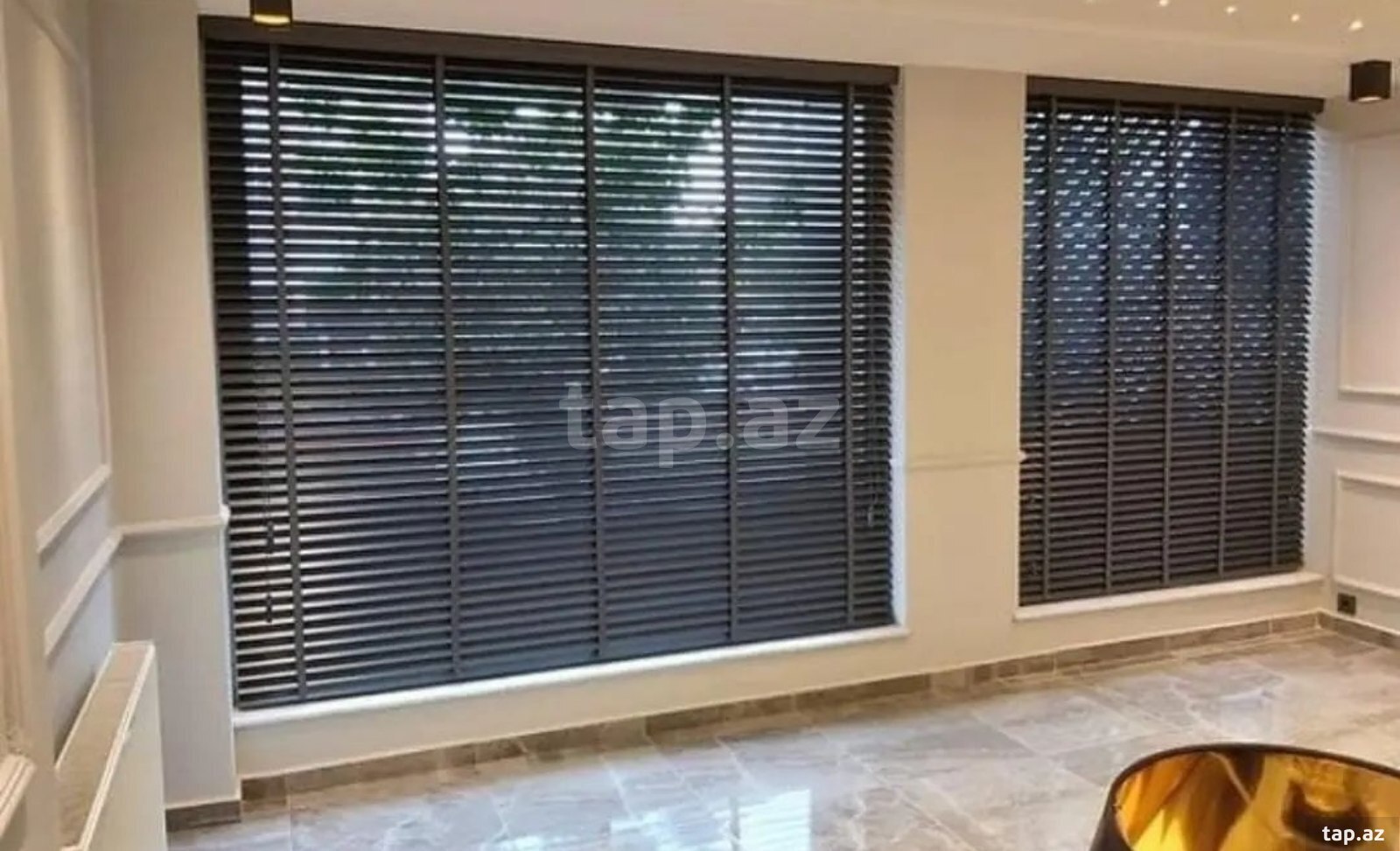 Taxta Jalüz