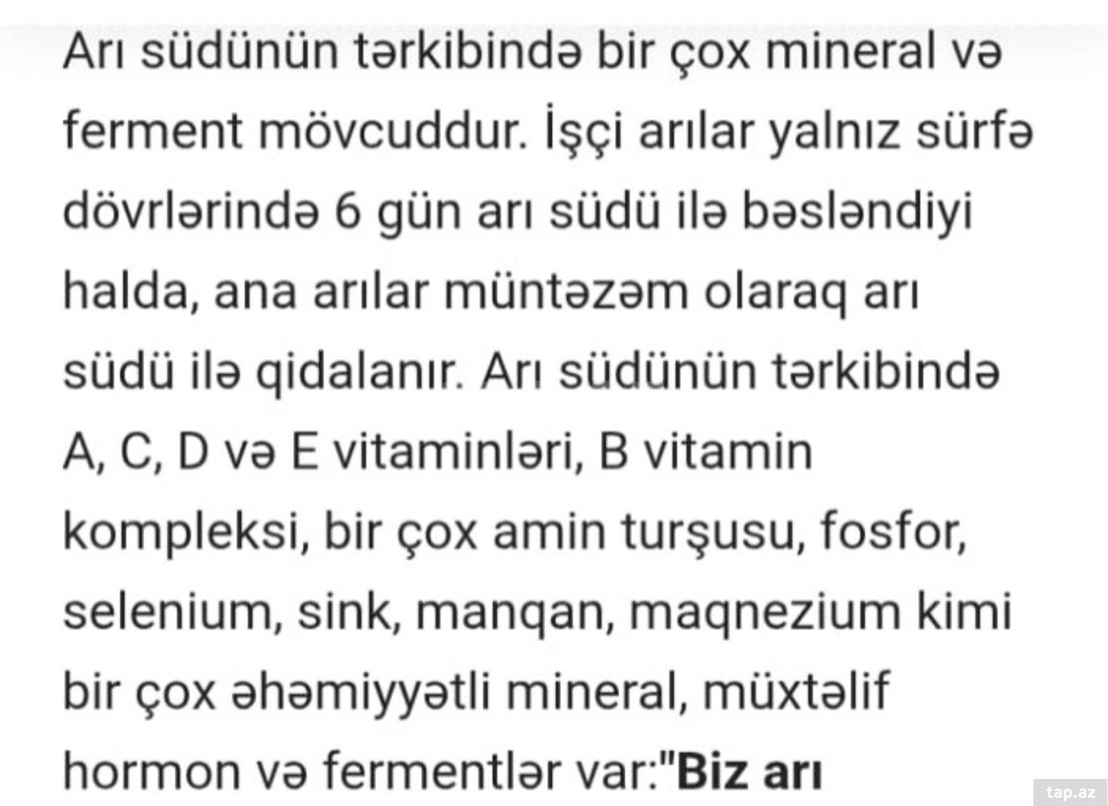 Arı südü (2)