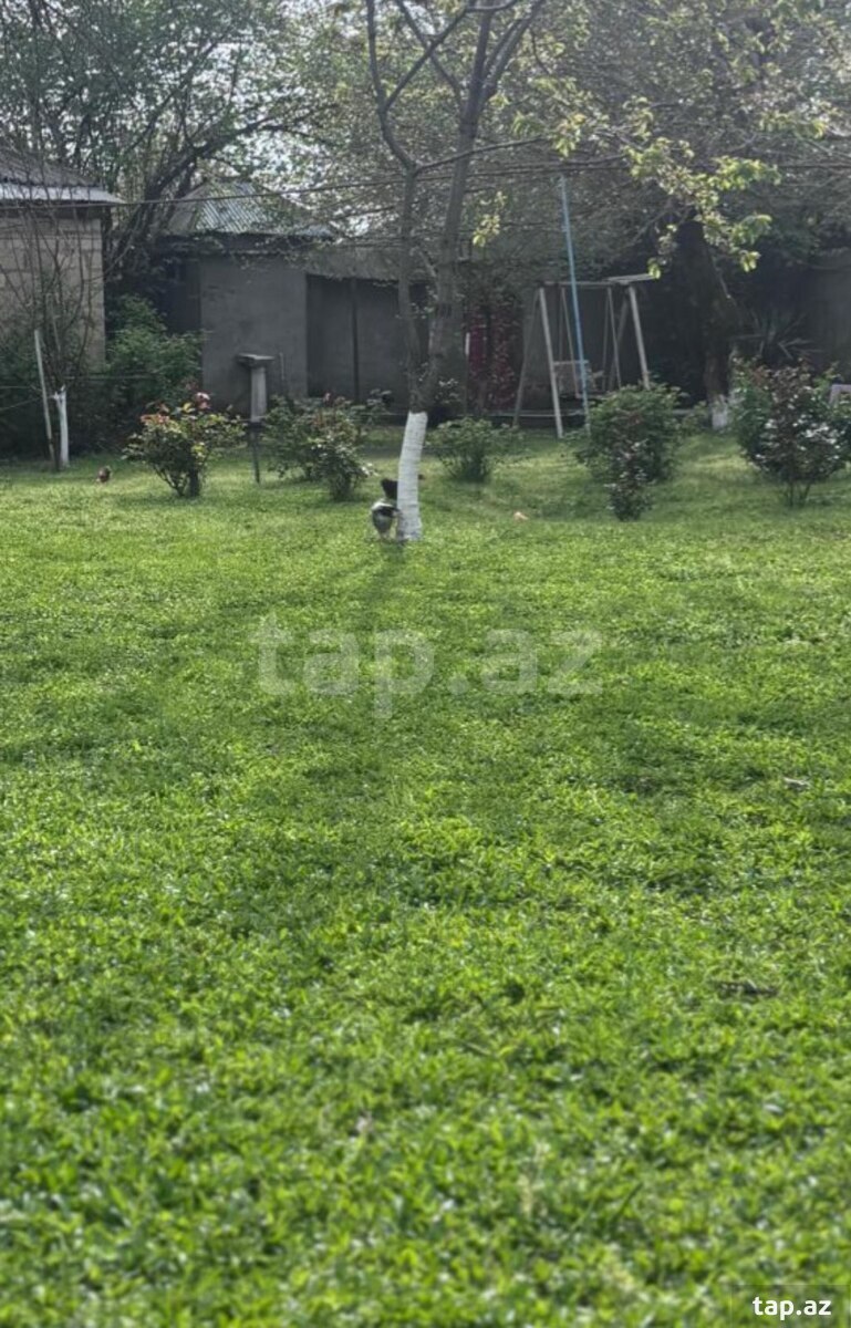 Land for sale, Gabala, Gabala