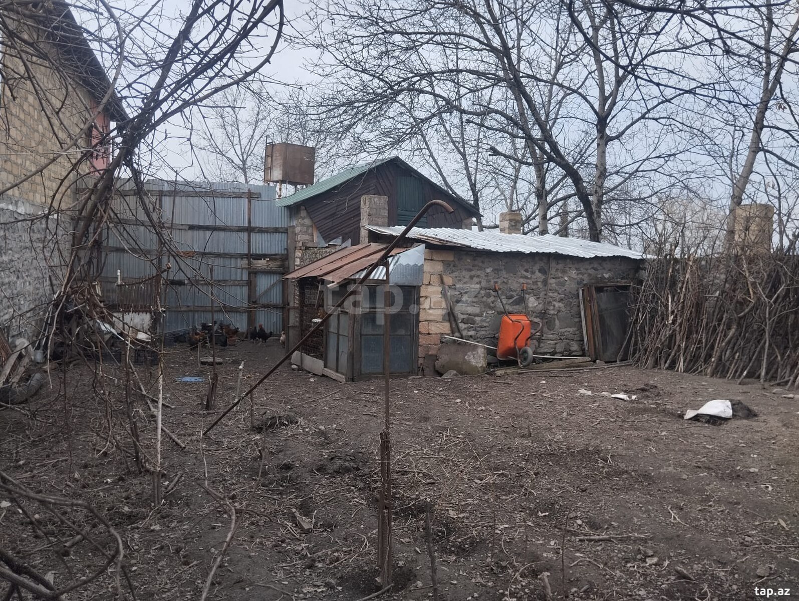 Land for sale, Gabala, Gabala