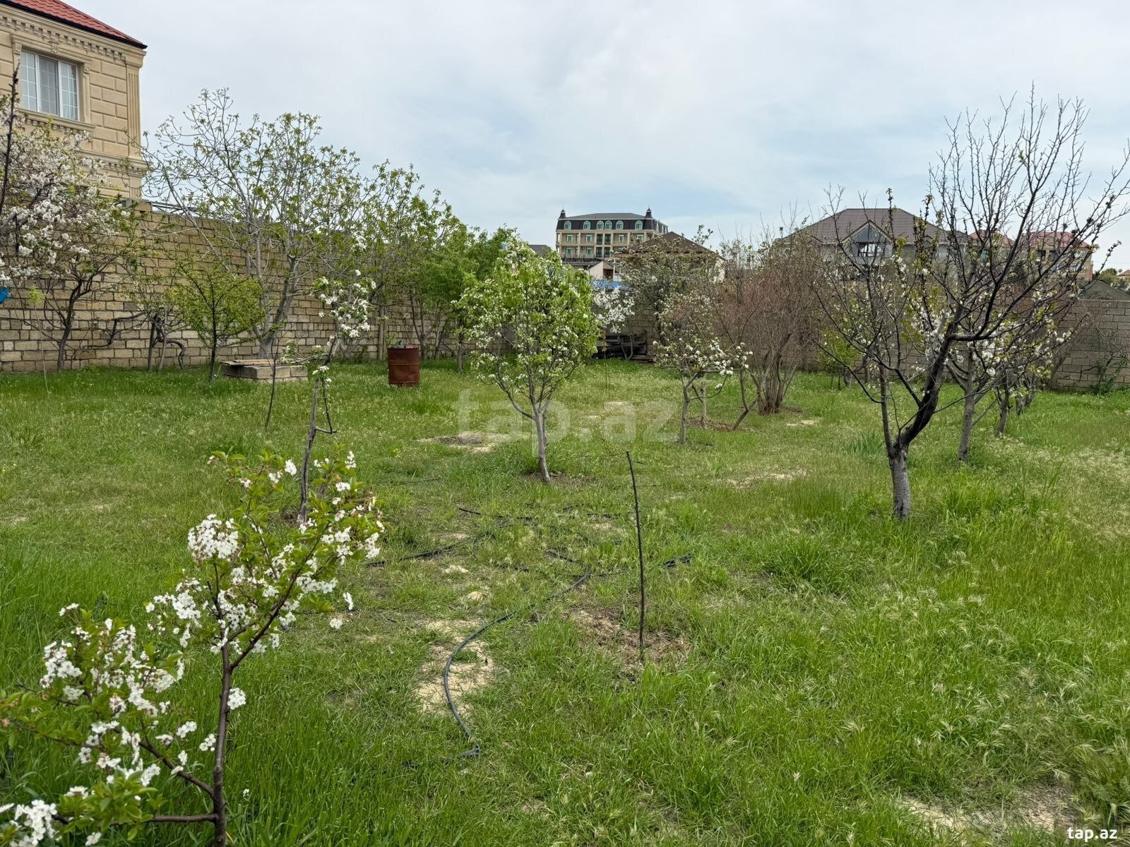 Villa, Görədil qəs. (25)