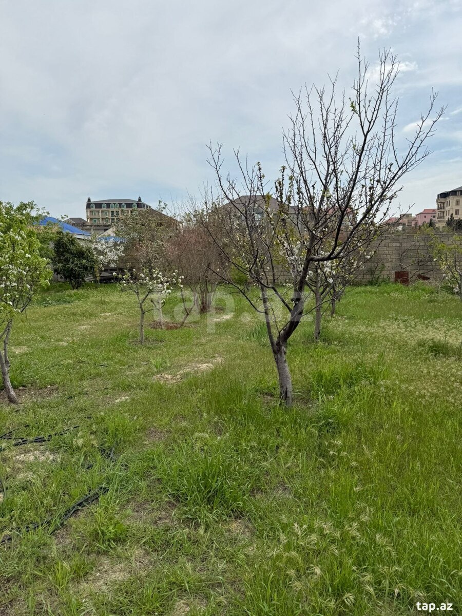 Villa, Görədil qəs. (26)