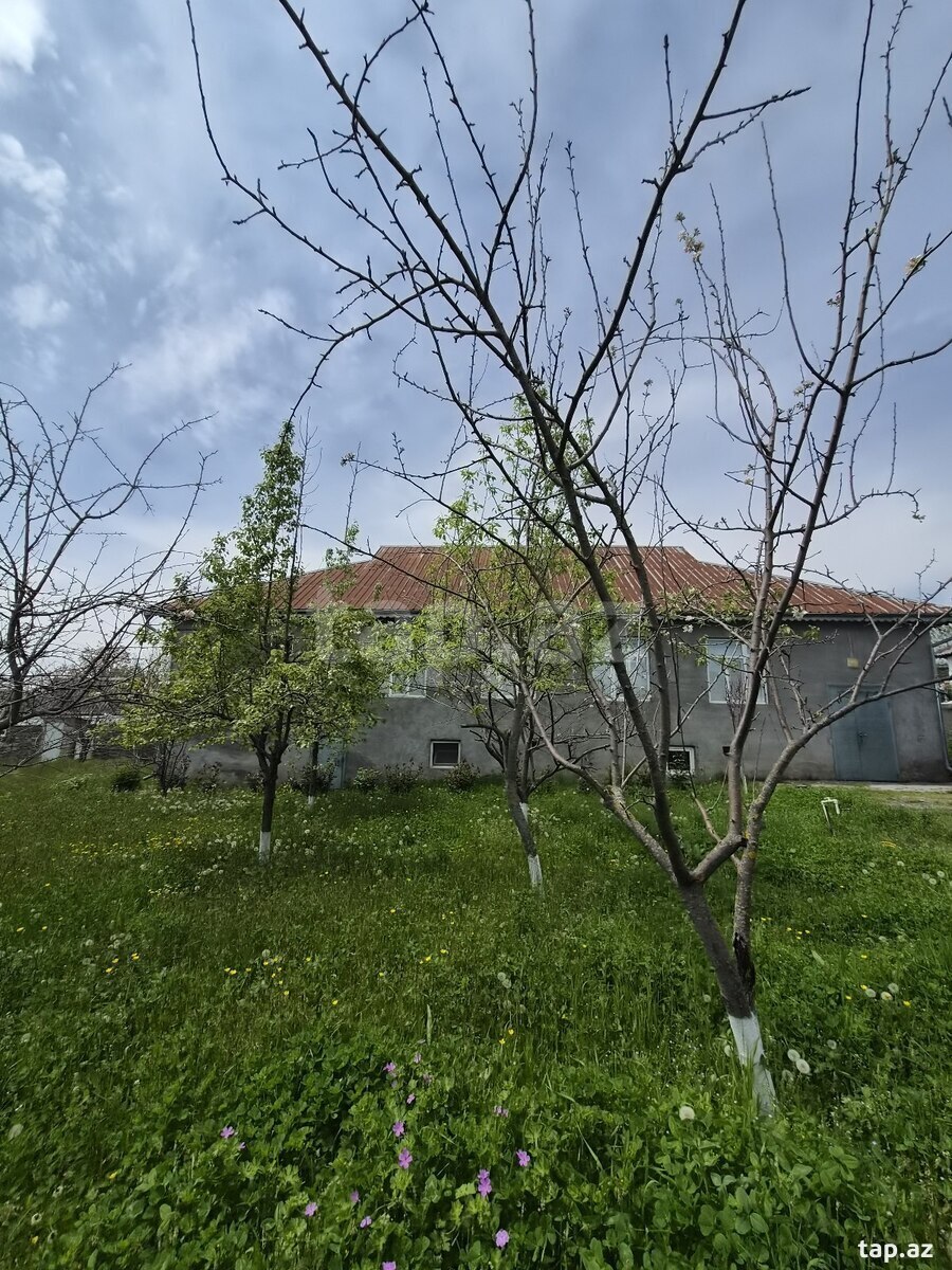 28 sot torpaq sahəsi, Vəndam qəs.