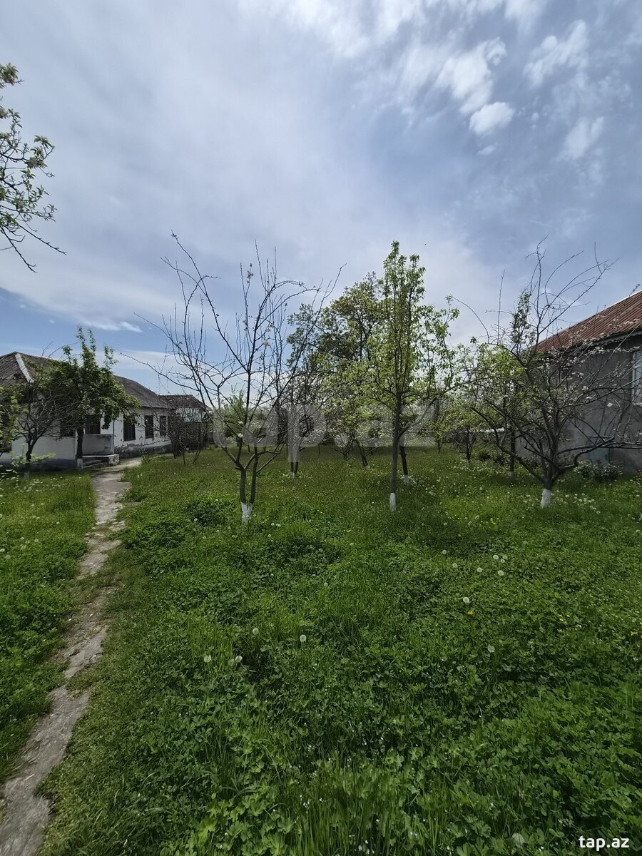 28 sot torpaq sahəsi, Vəndam qəs.