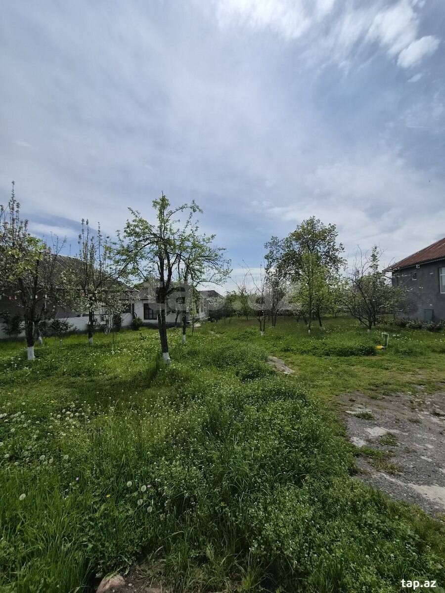 28 sot torpaq sahəsi, Vəndam qəs.