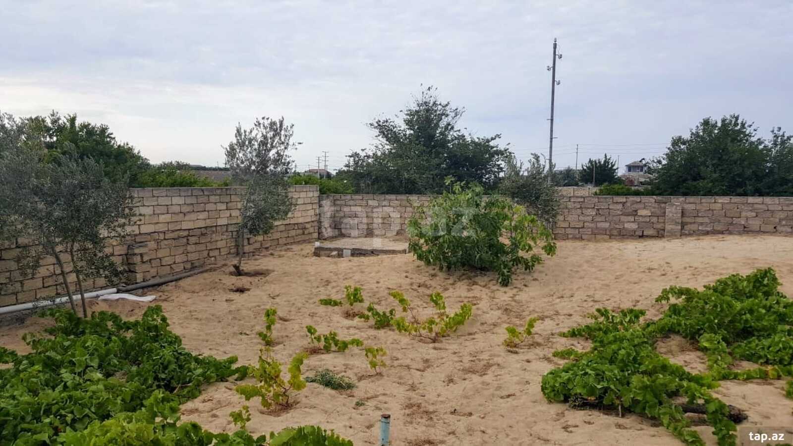 Bağ evi kirayə verilir, Pirşağı qəs. (16)