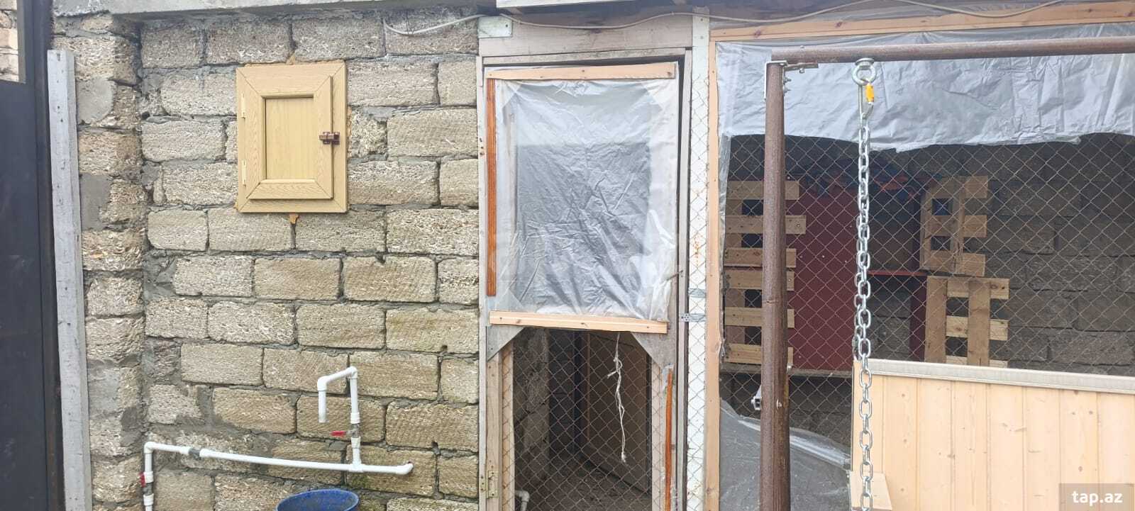 Həyət evi, Maştağa qəs. (12)