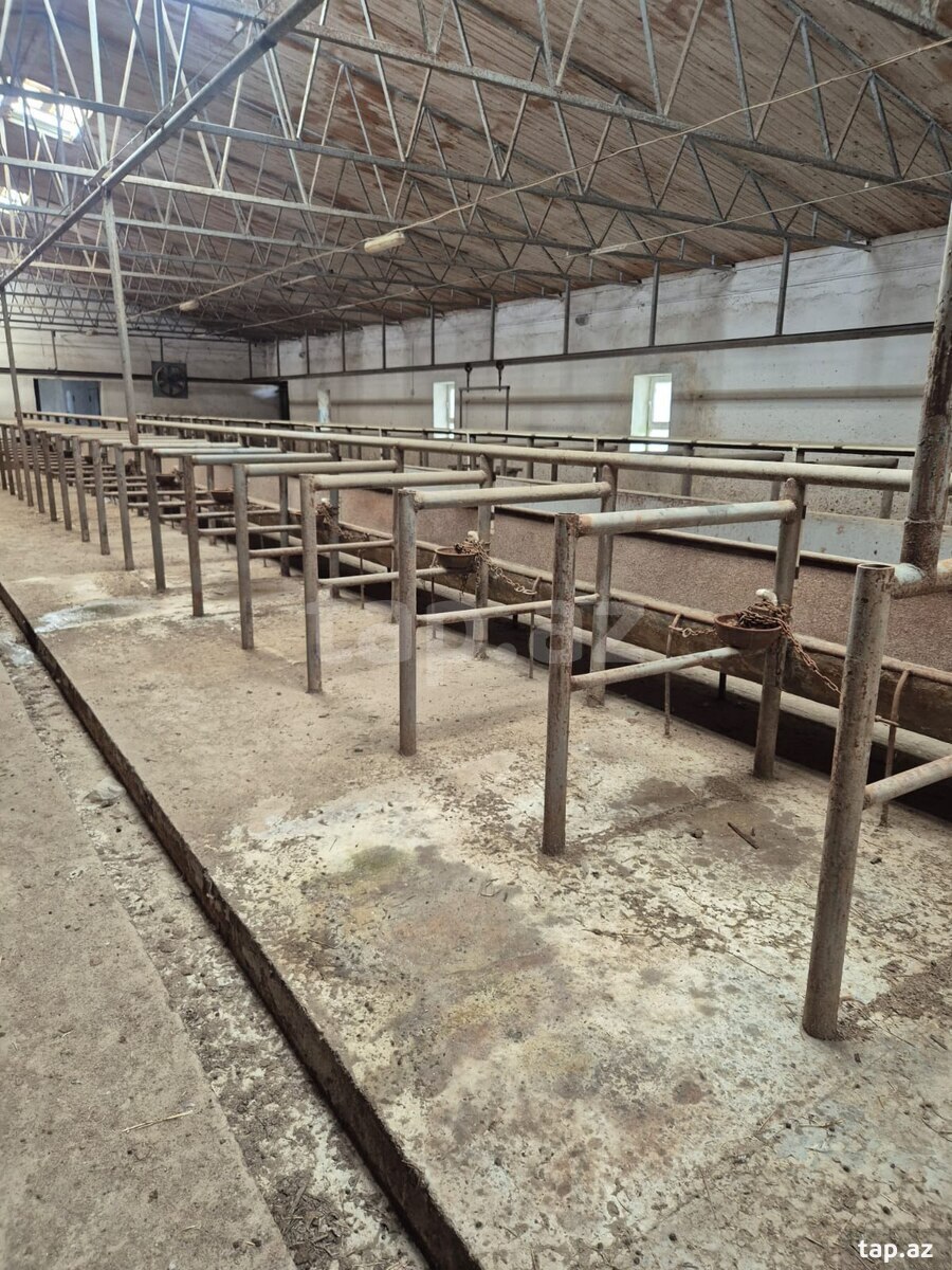 Obyekt icarəyə verilir, Qala qəs. (5)