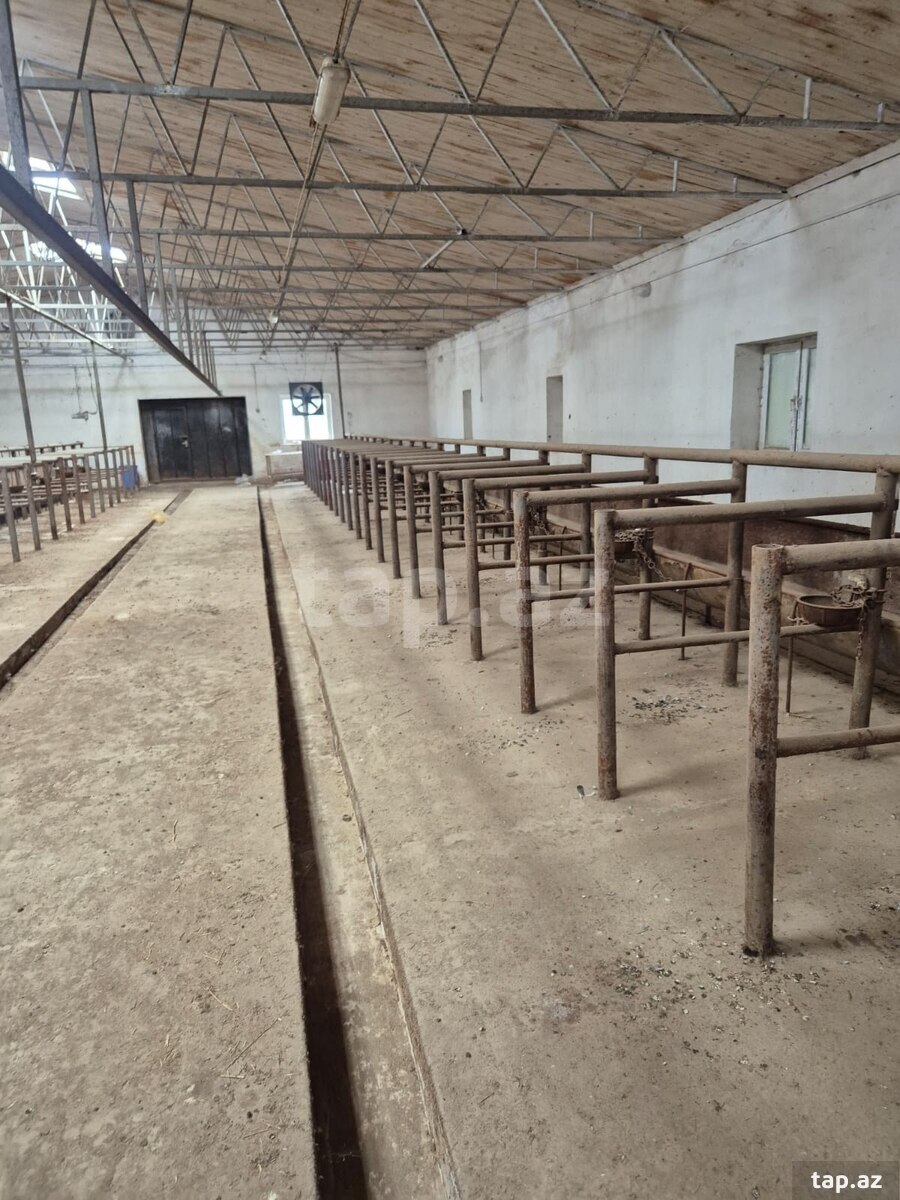 Obyekt icarəyə verilir, Qala qəs. (4)