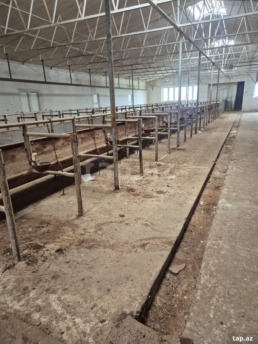 Obyekt icarəyə verilir, Qala qəs.