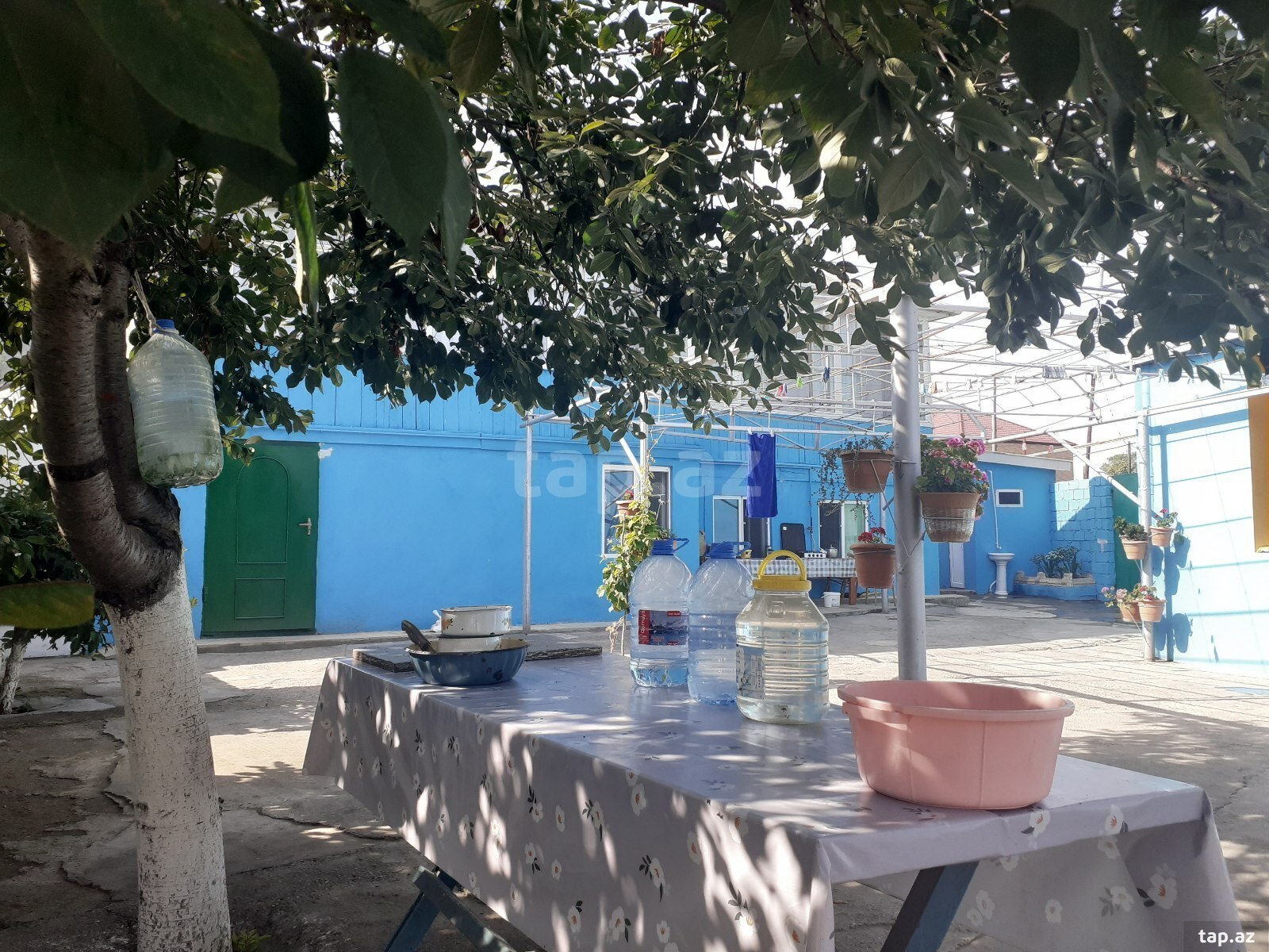 Bağ evi kirayə verilir, Nabran qəs. (3)