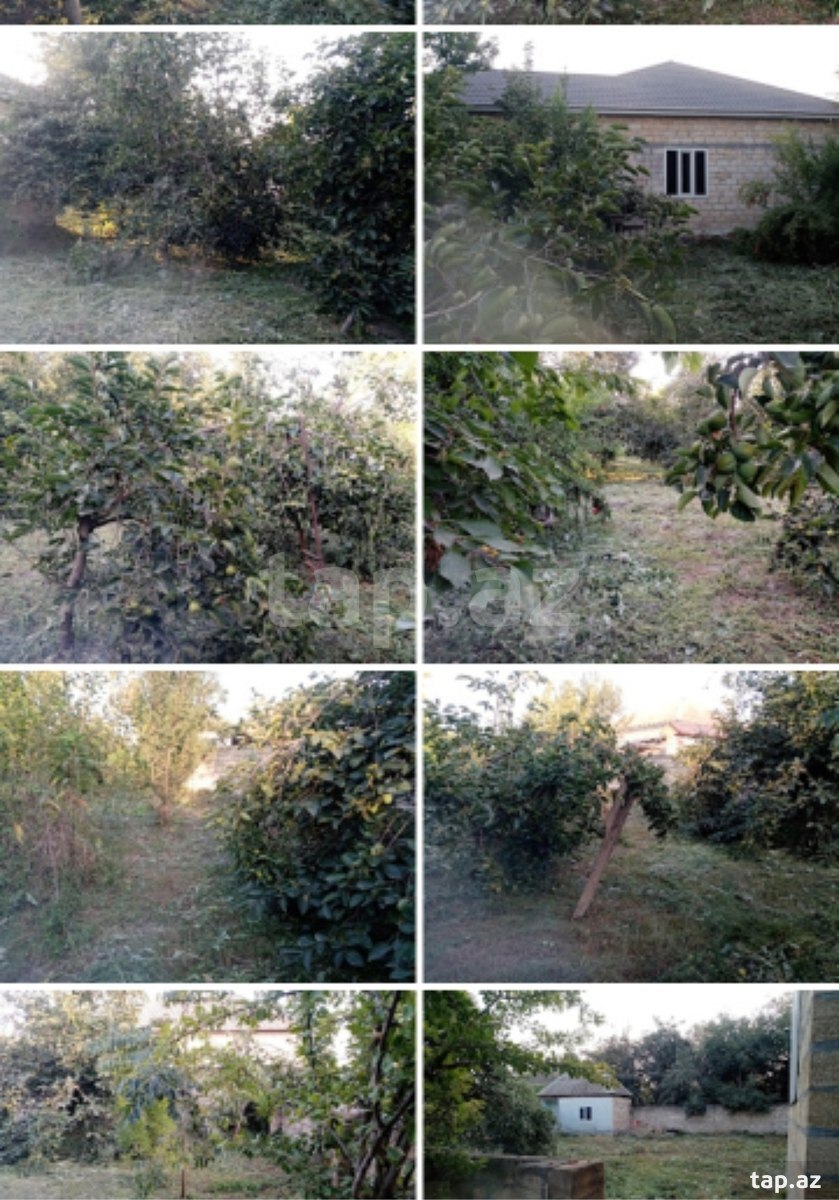 Həyət evi, Göyçay r. (6)