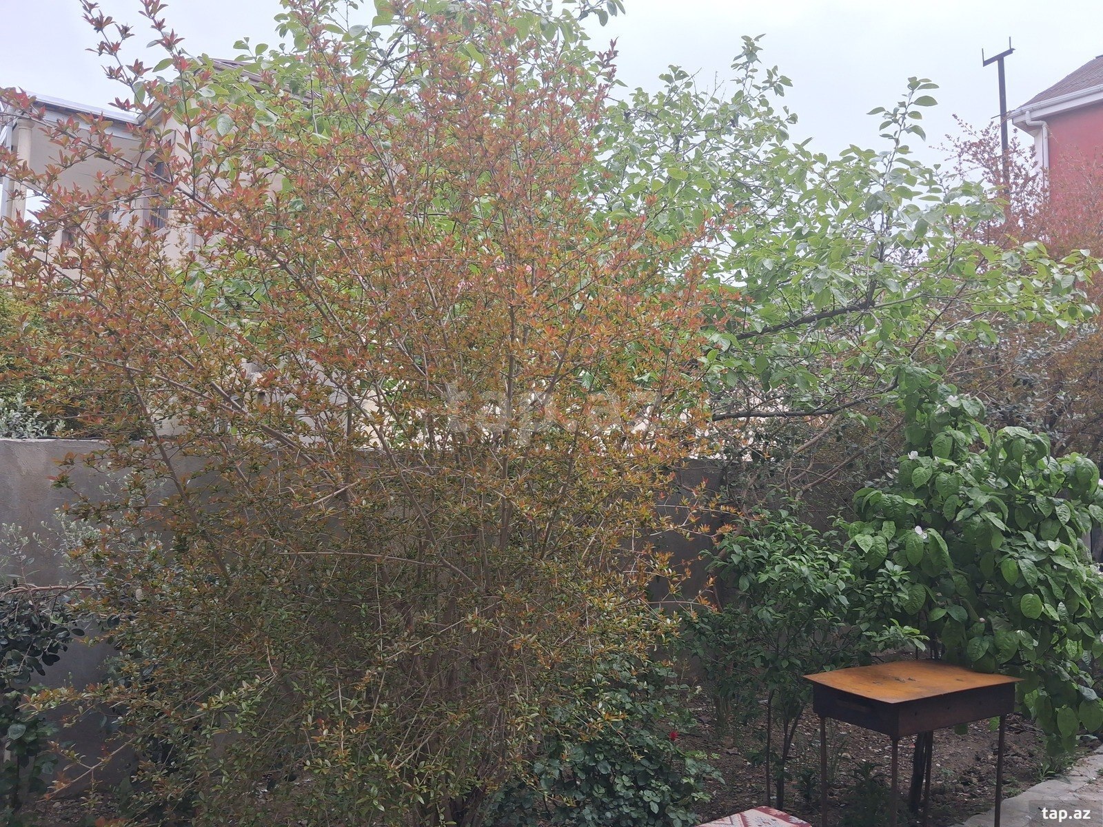 Həyət evi, Bakıxanov qəs. (16)