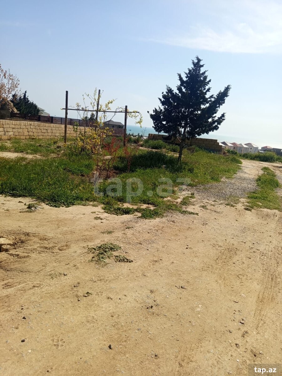 Həyət evi, Şıxov qəs. (11)