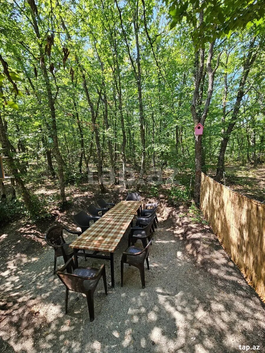 Piknik xidməti 