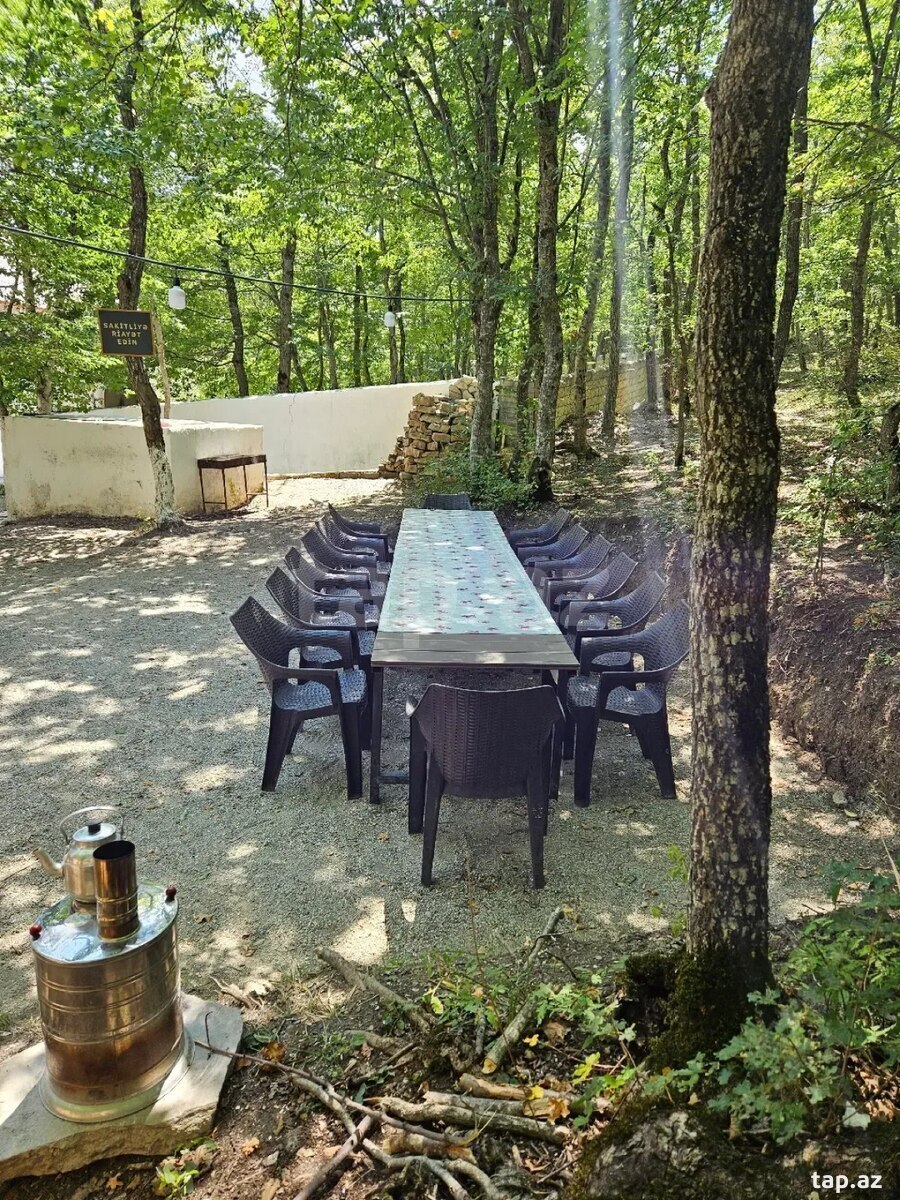 Piknik xidməti  (2)