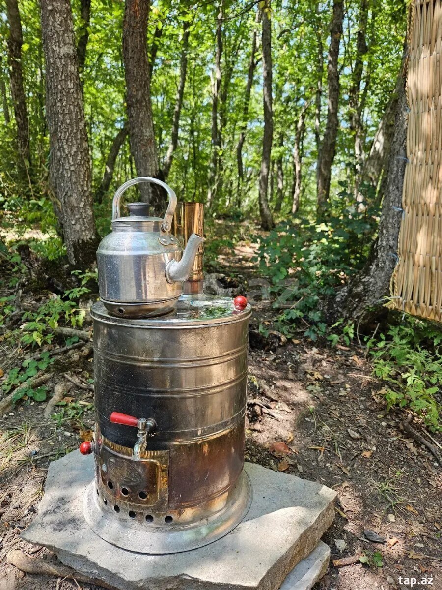 Piknik xidməti  (3)
