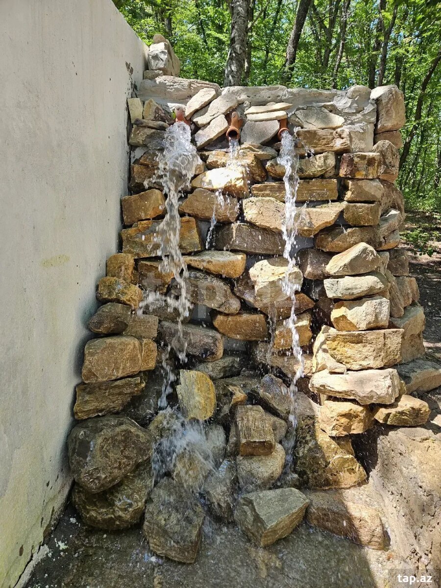 Piknik xidməti  (4)