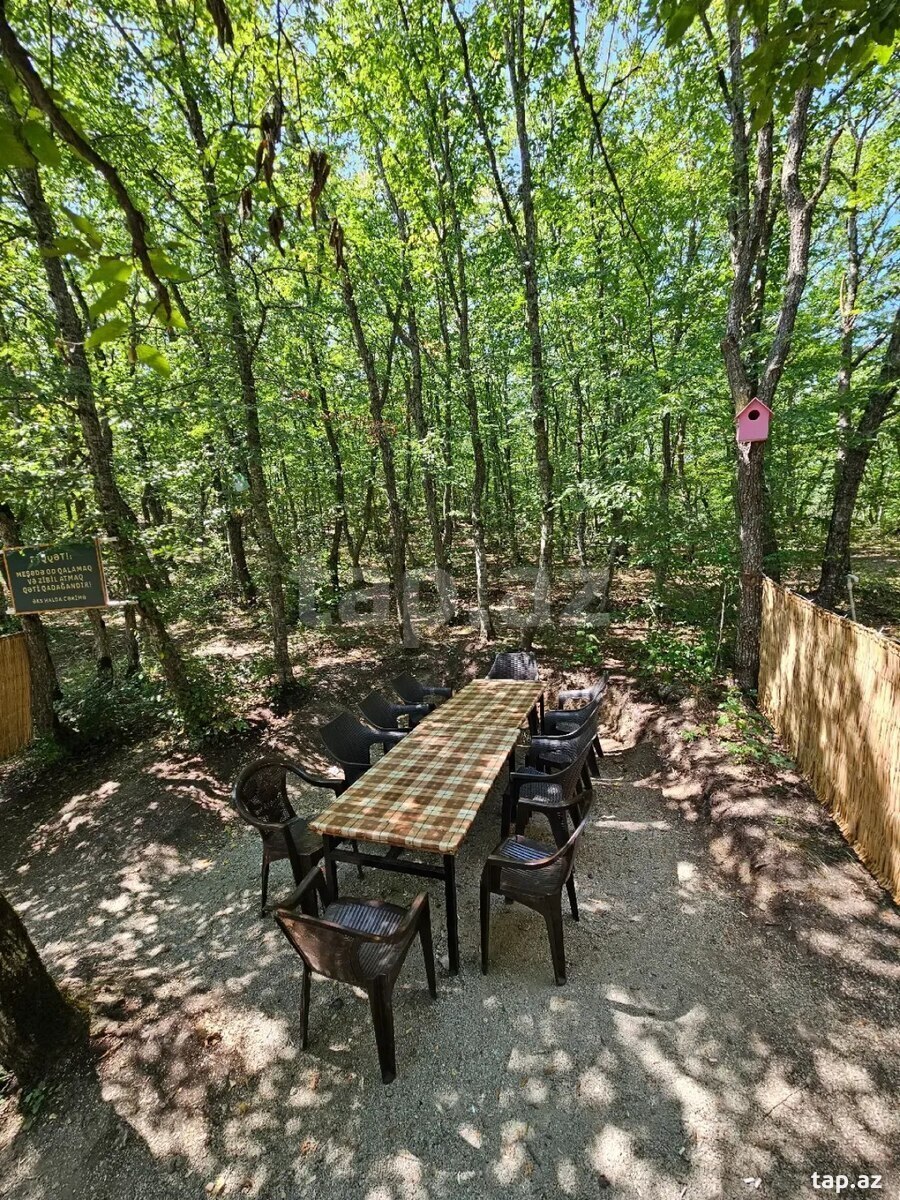 Piknik xidməti  (5)