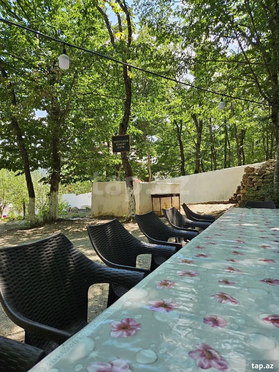 Piknik xidməti  (7)
