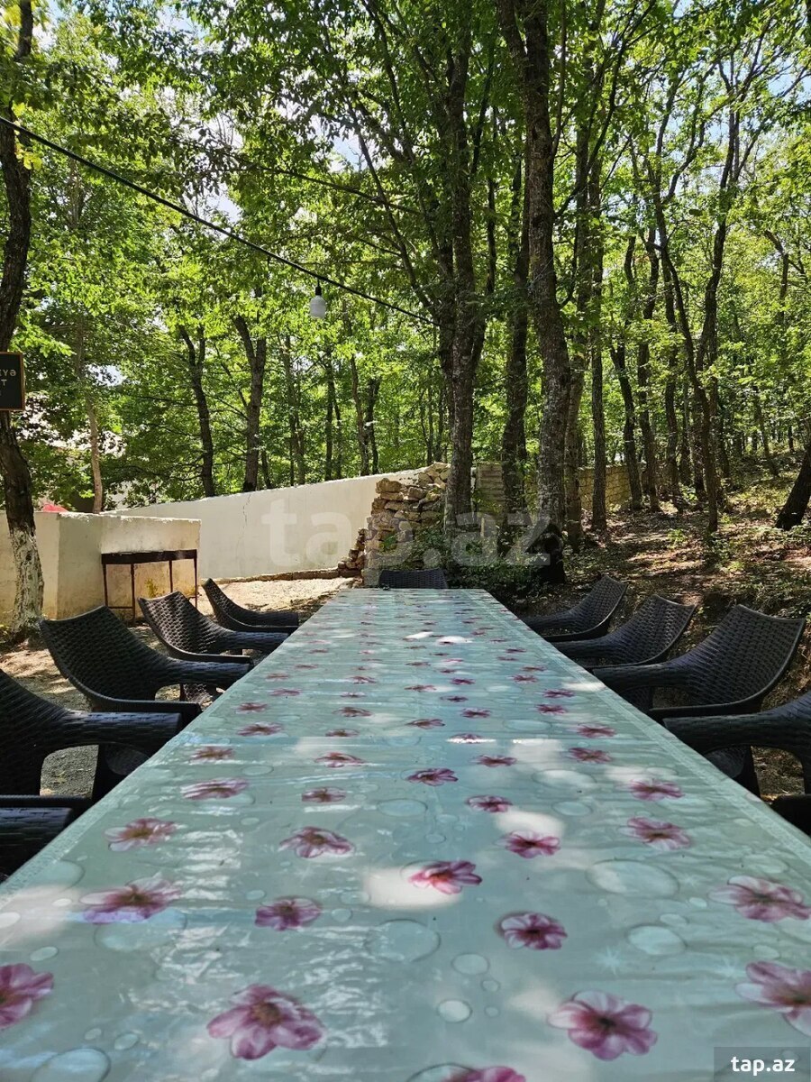 Piknik xidməti  (8)