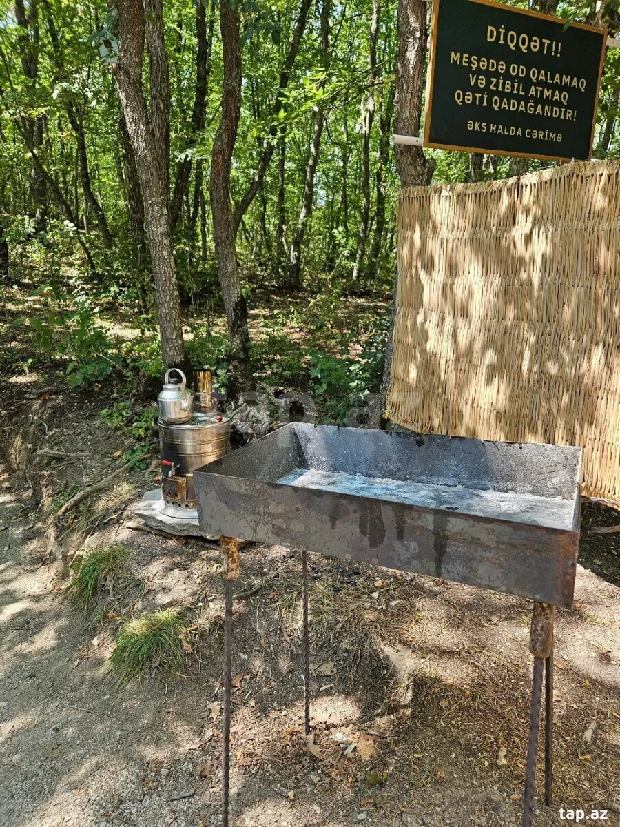 Piknik xidməti  (11)