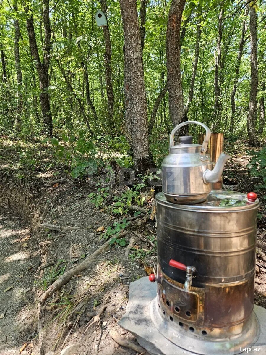 Piknik xidməti  (9)